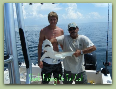 CATCHING SHARKS IN ST.PETE FL,ON THE FAT CAT.